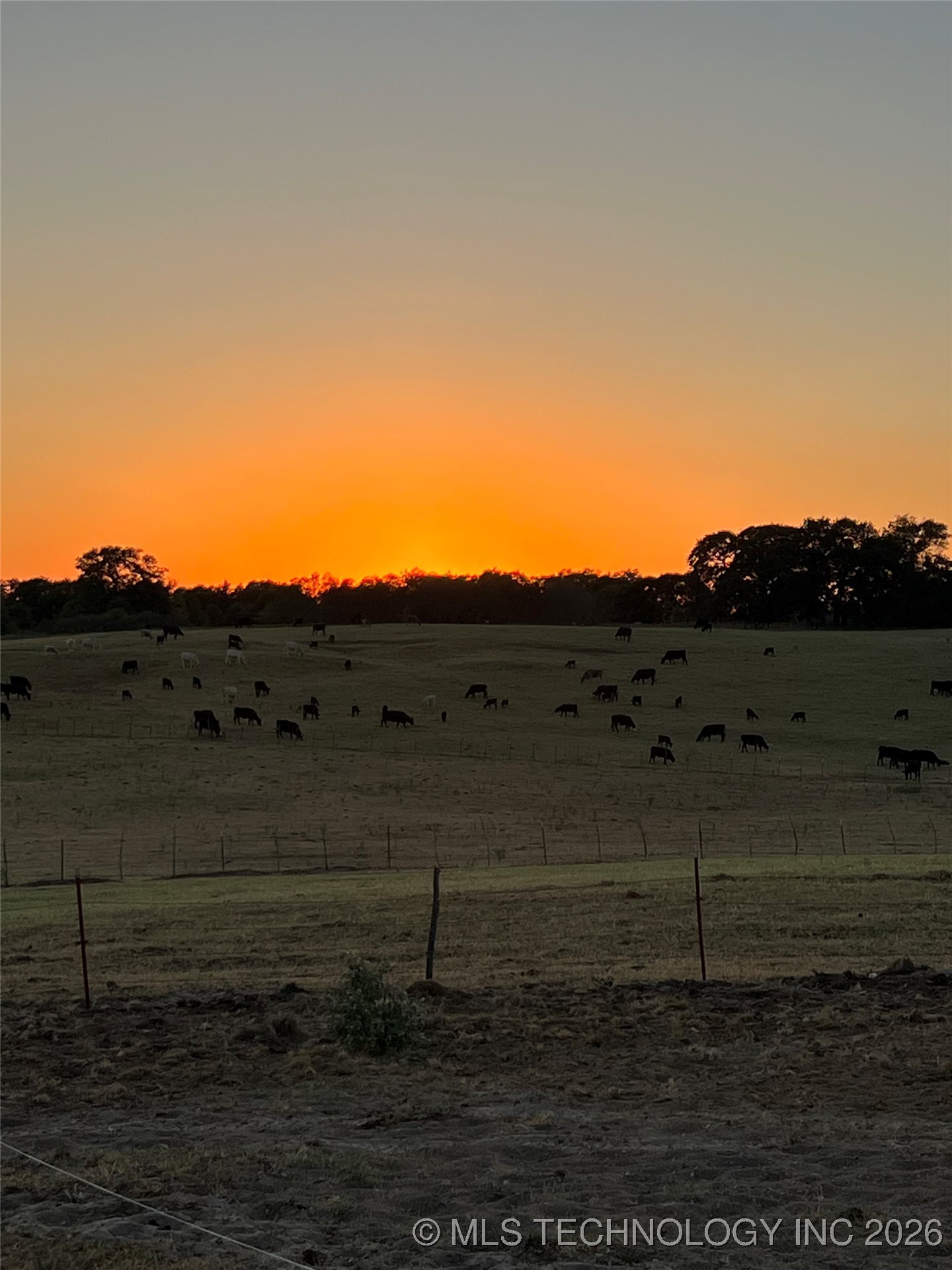 1535 Dillard Property Photo 20