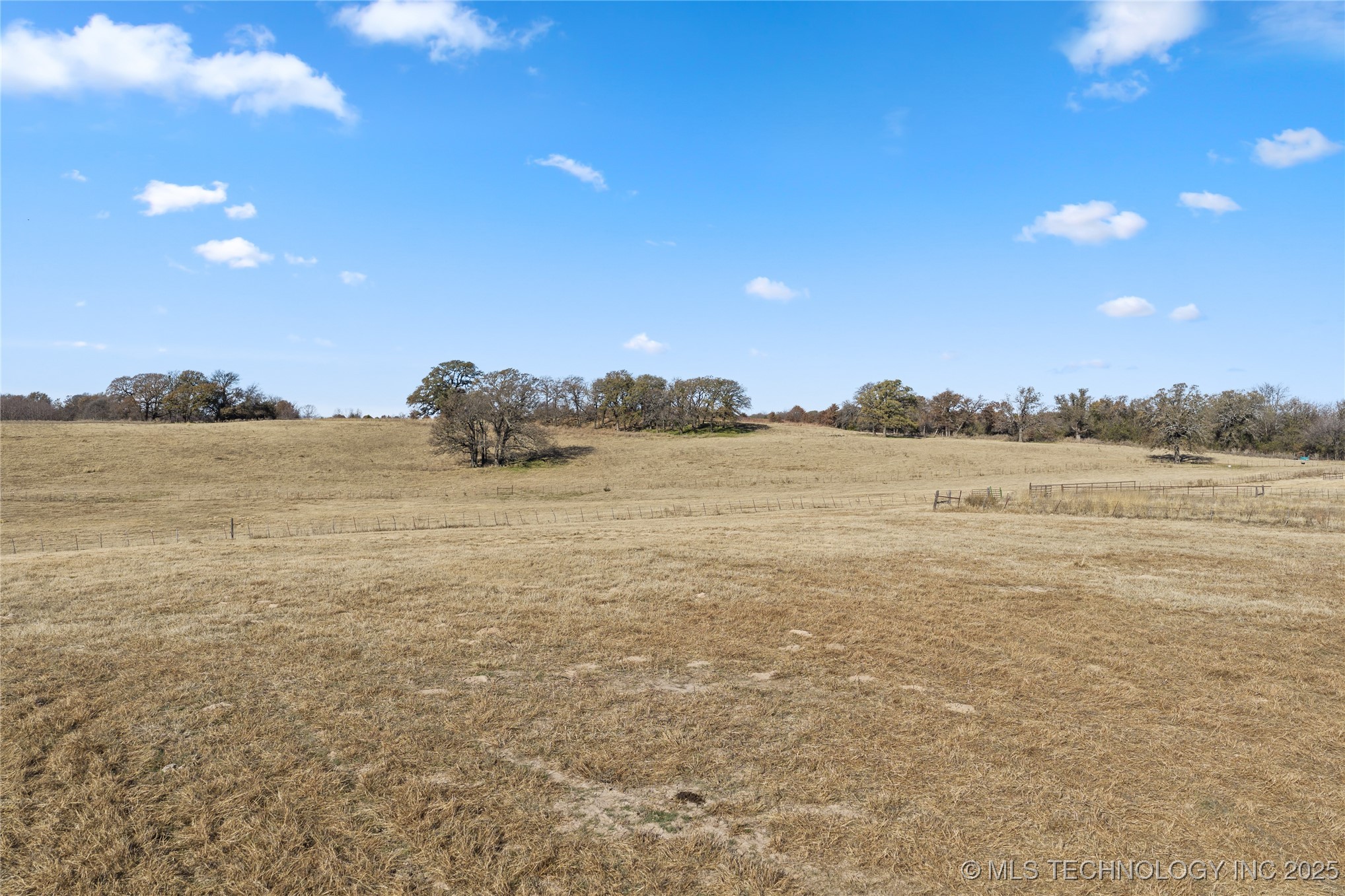 1535 Dillard Property Photo 22