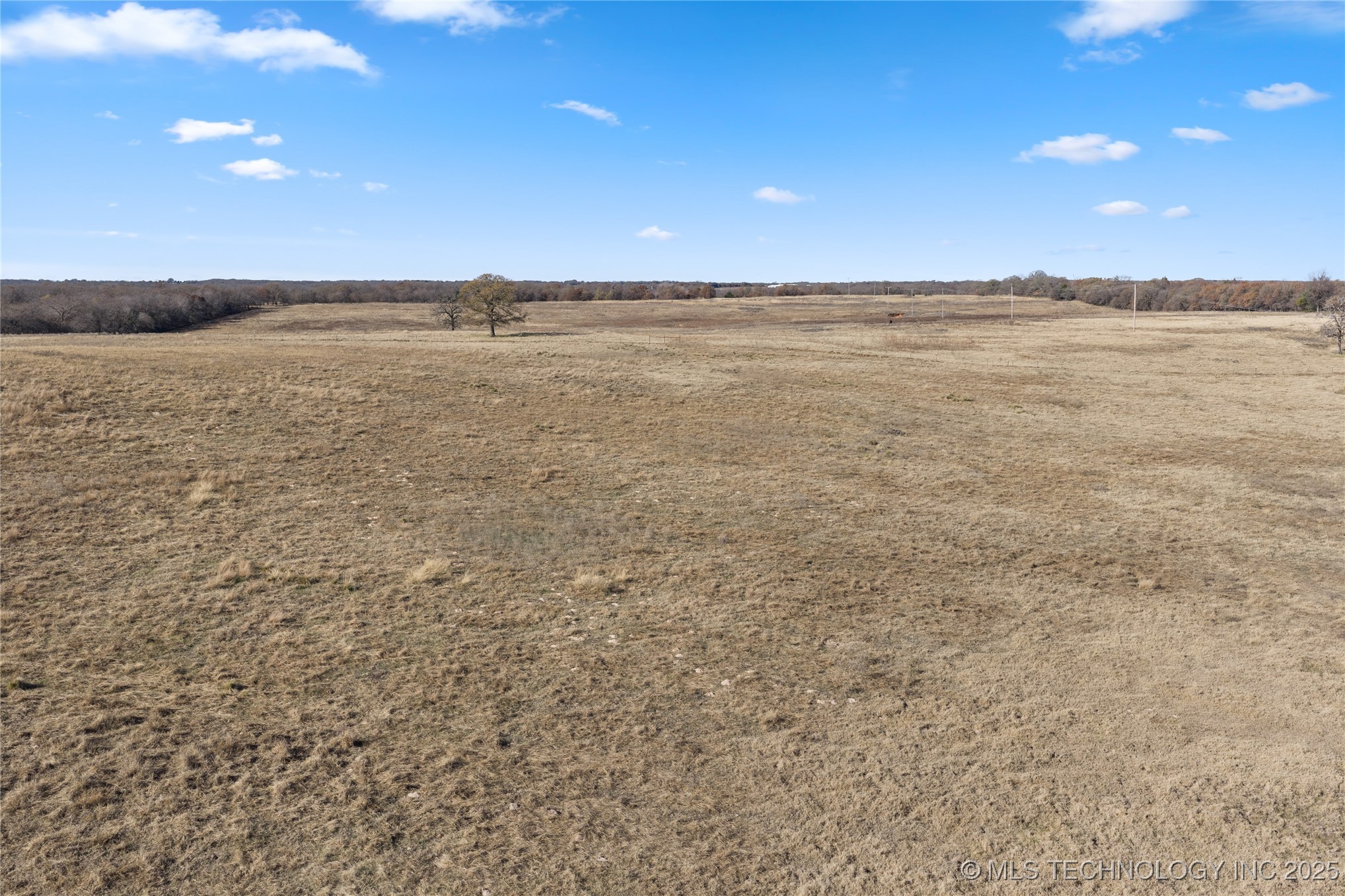 1535 Dillard Property Photo 27