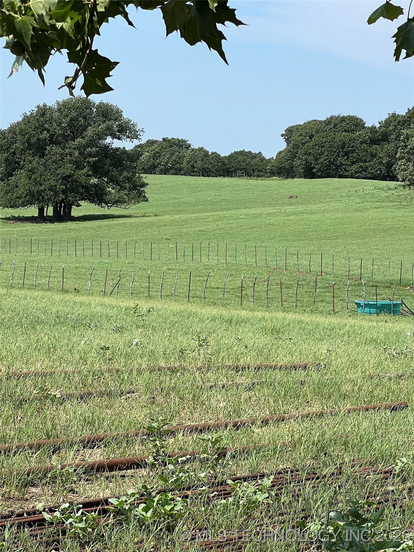 1535 Dillard Property Photo 29