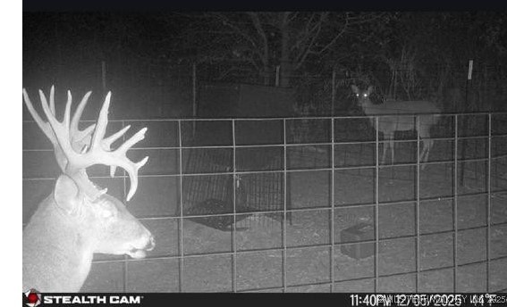 1535 Dillard Property Photo 30