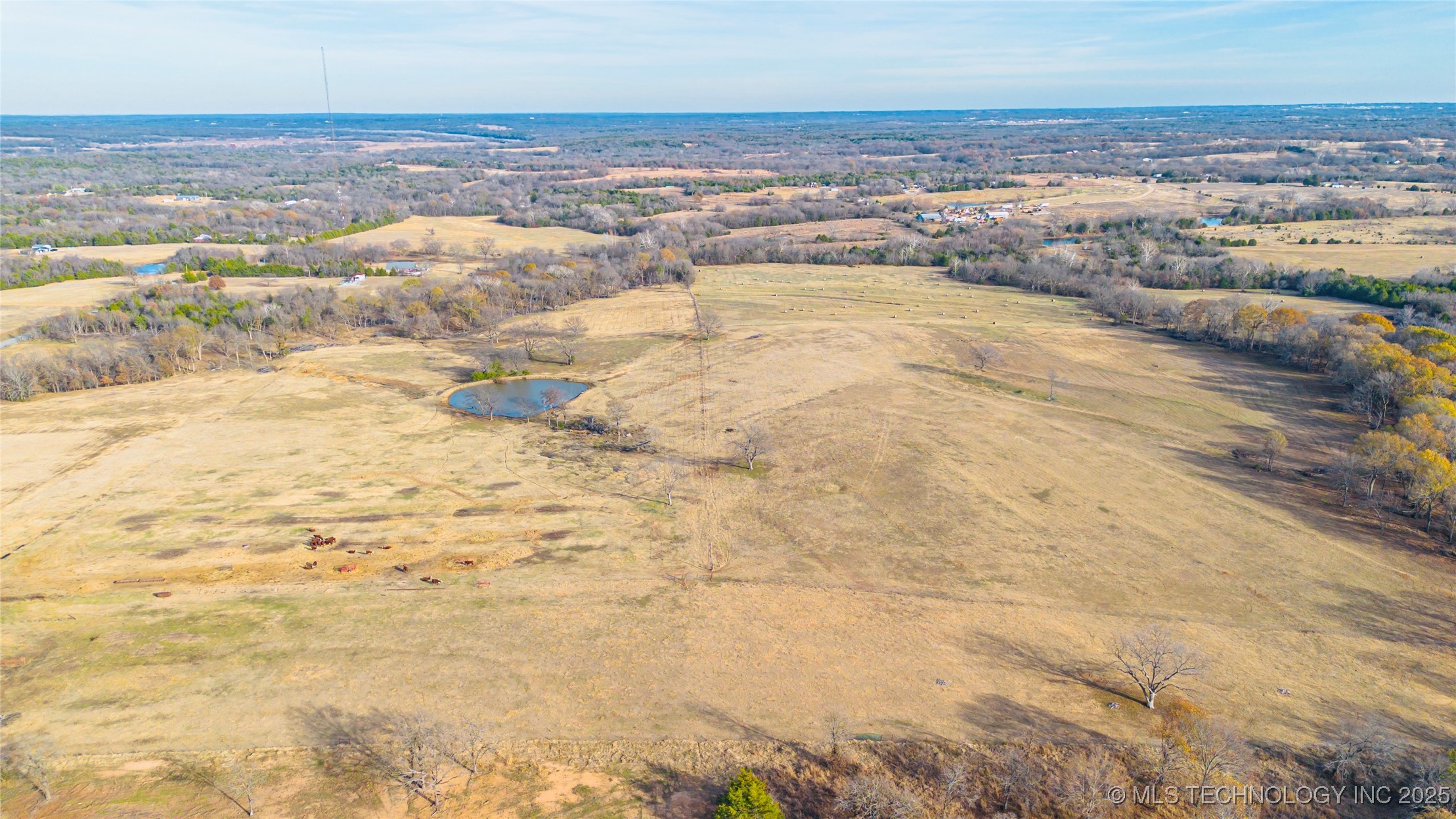 10255 County Road 1490 Property Photo 4