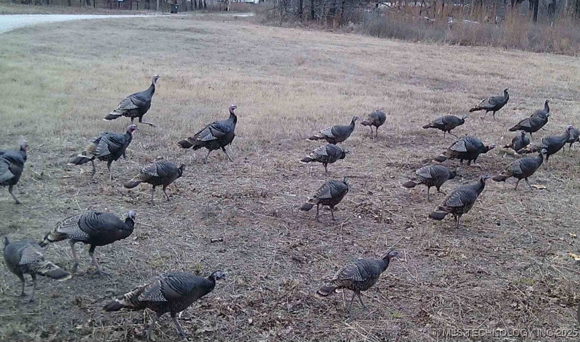 368565 E 5280 Road Property Photo 4