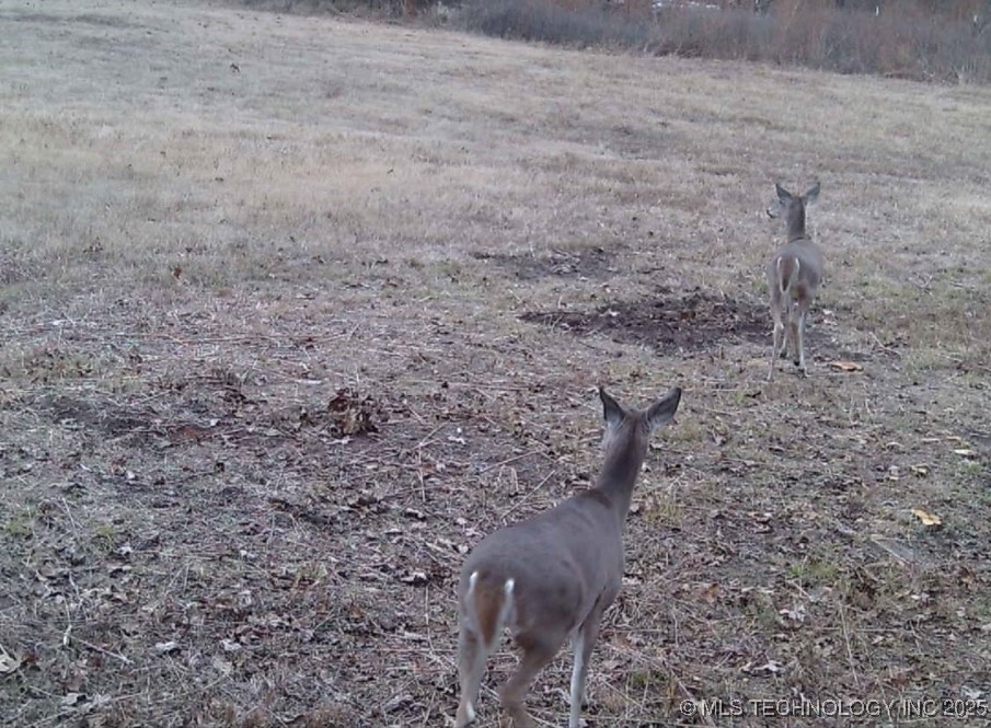 368565 E 5280 Road Property Photo 14