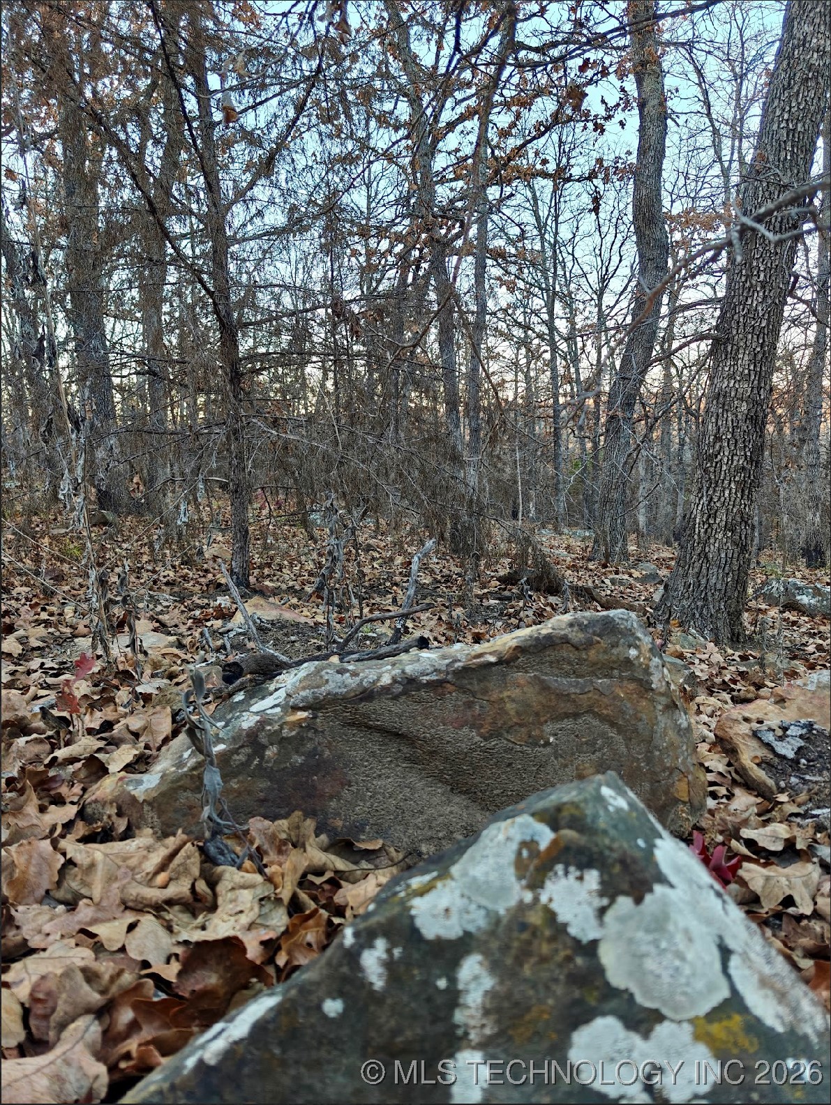 368565 E 5280 Road Property Photo 23