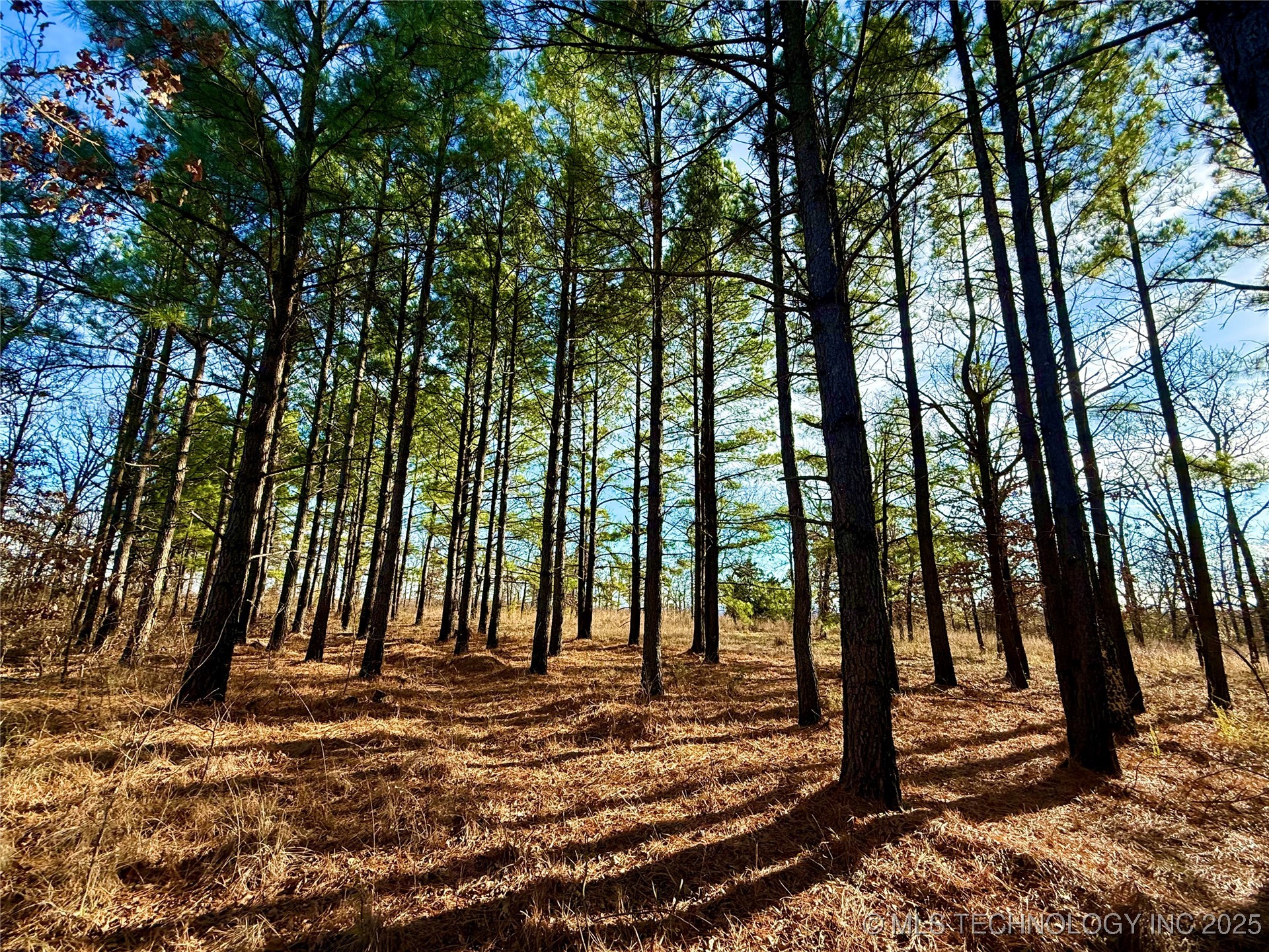 4540 Rd S Property Photo 2