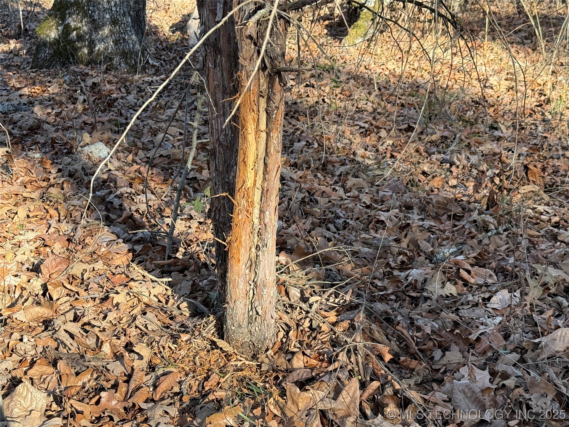 4540 Rd S Property Photo 3