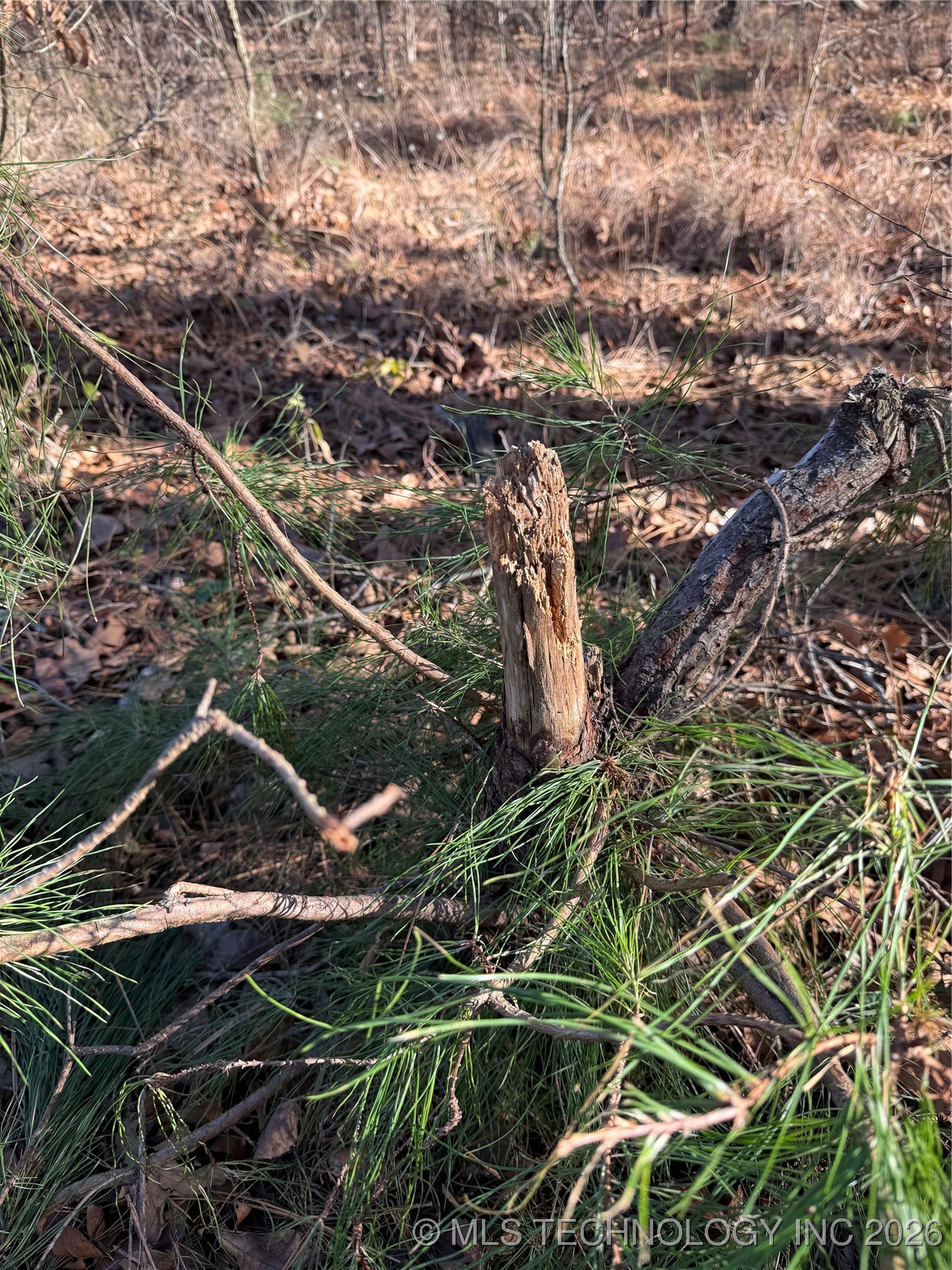 4540 Rd S Property Photo 4