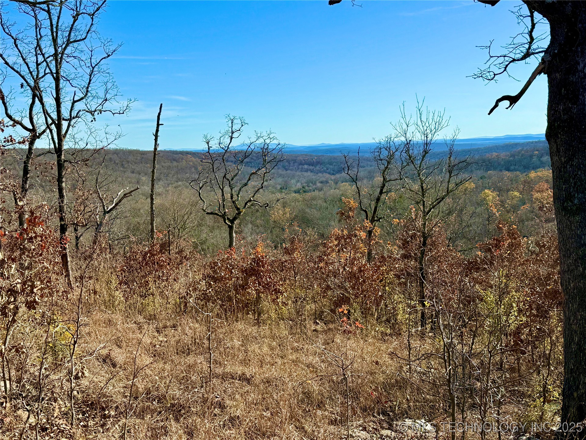 4540 Rd S Property Photo 6