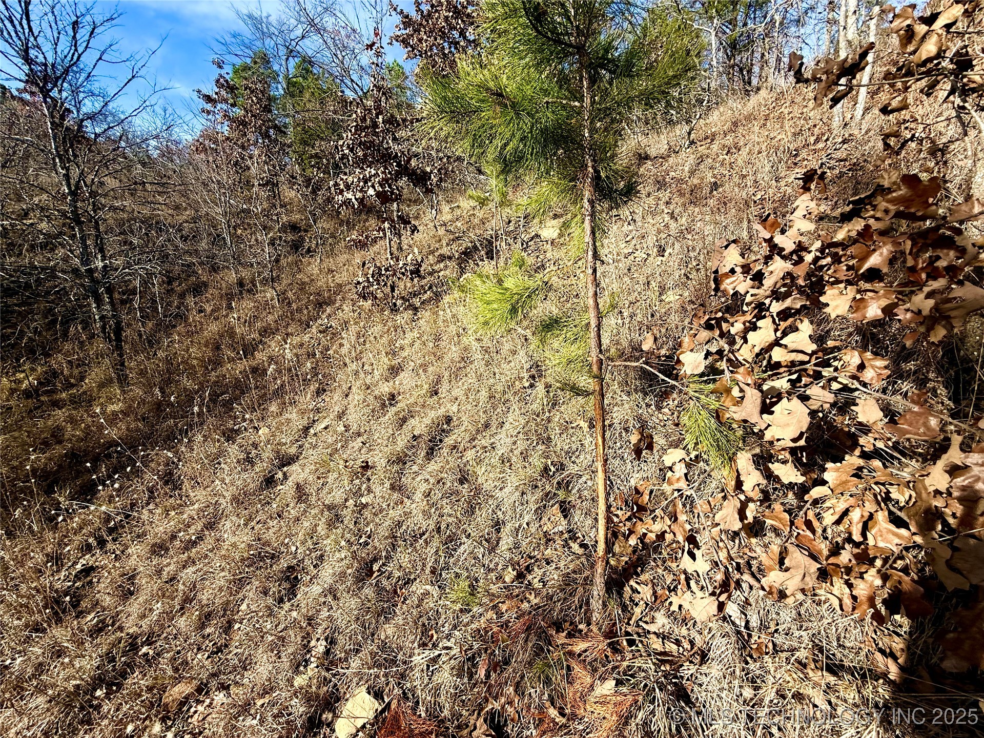 4540 Rd S Property Photo 7