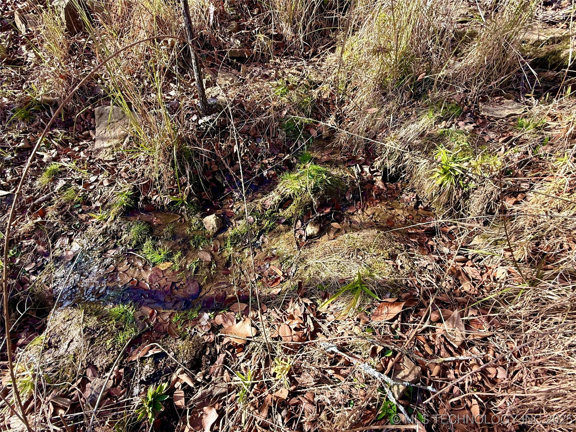 4540 Rd S Property Photo 8