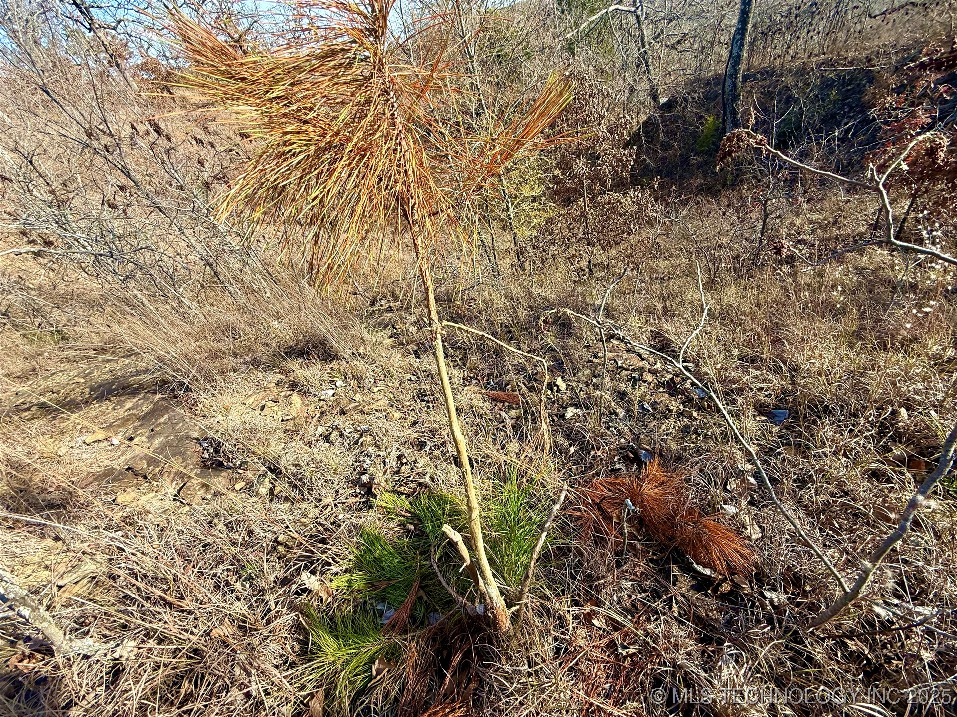 4540 Rd S Property Photo 9