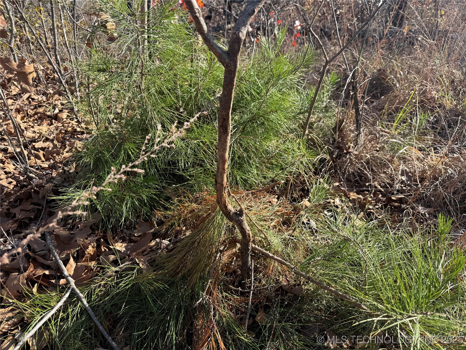 4540 Rd S Property Photo 12