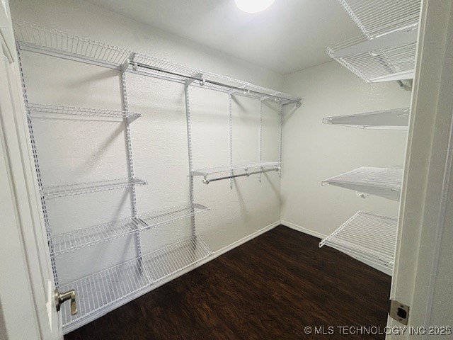 2509 Tanglewood Court Property Photo 13