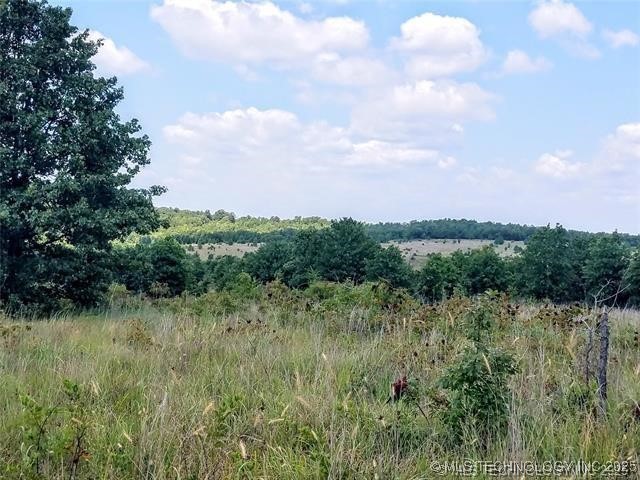 Radio Tower Road Property Photo 2