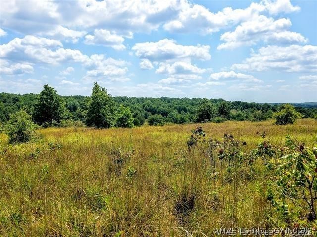 Radio Tower Road Property Photo 3