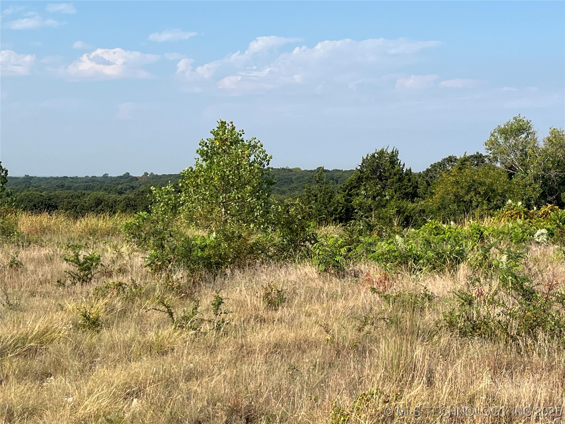 Enos Road Property Photo 6