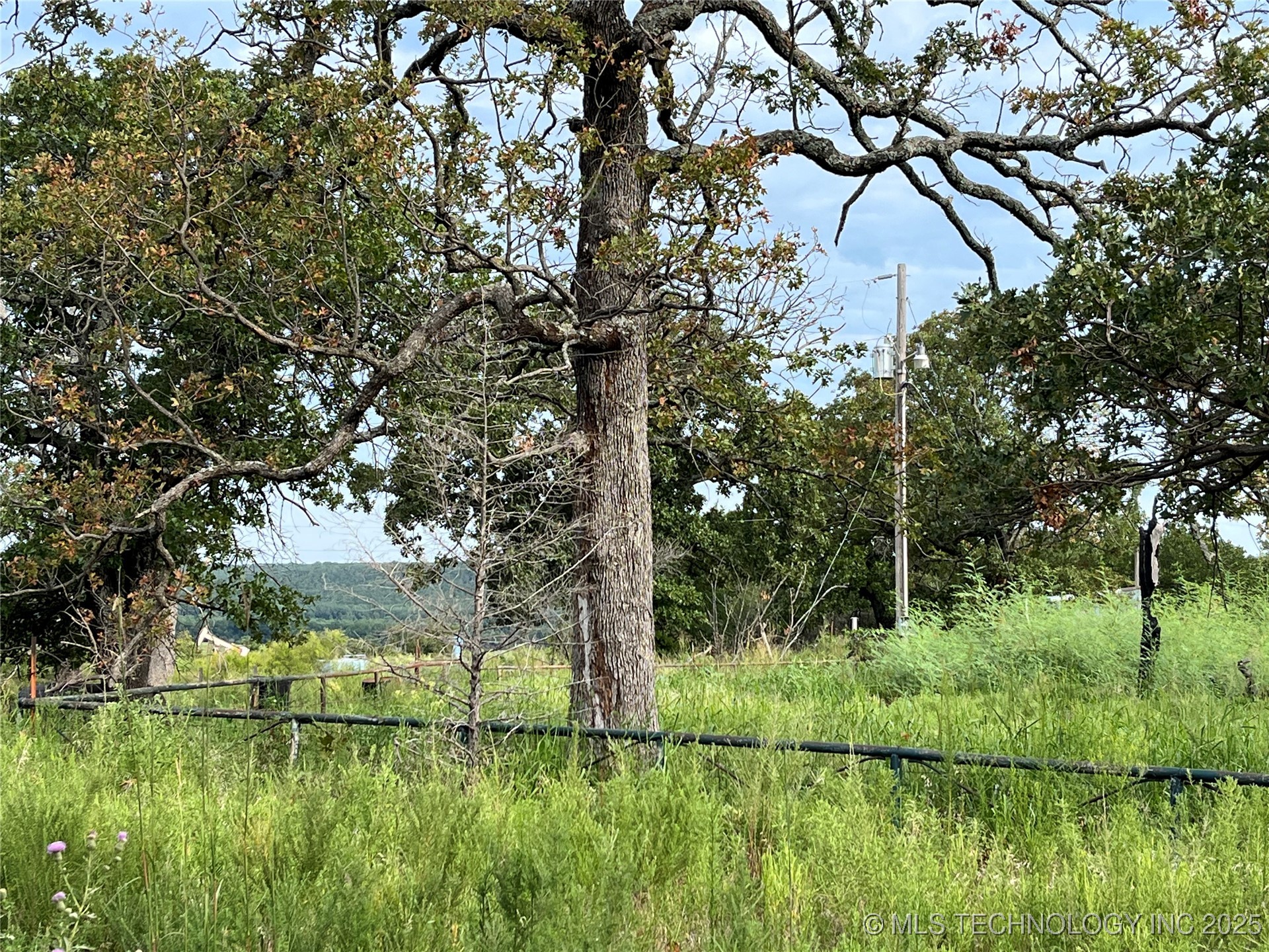 2822 Lott Bottom Road Property Photo 3