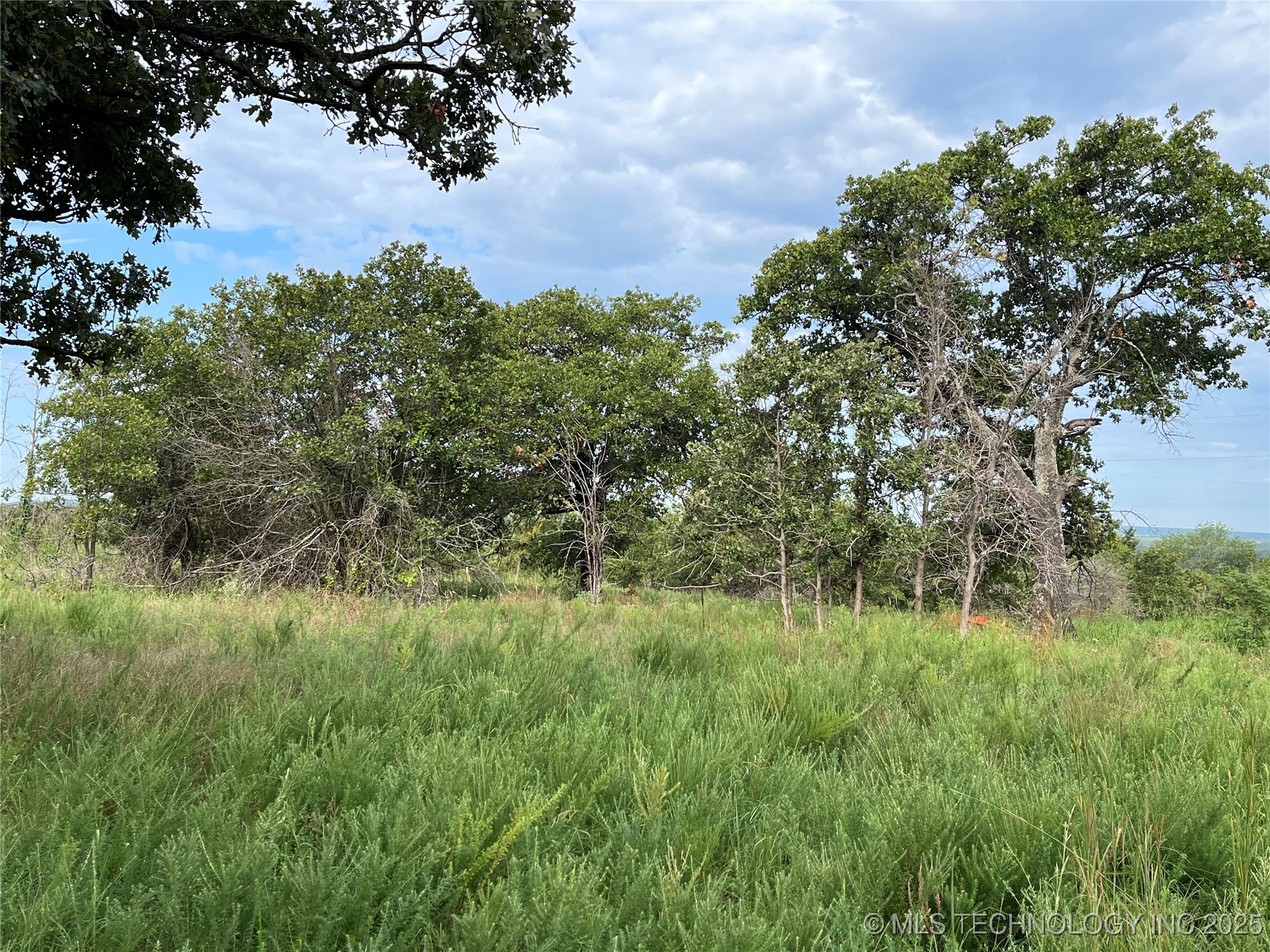 2822 Lott Bottom Road Property Photo 5