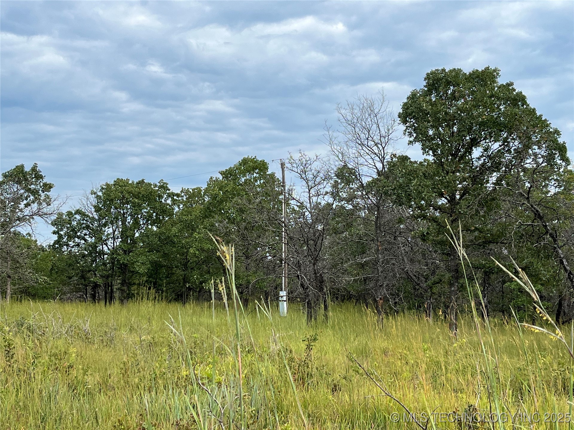 2822 Lott Bottom Road Property Photo 6