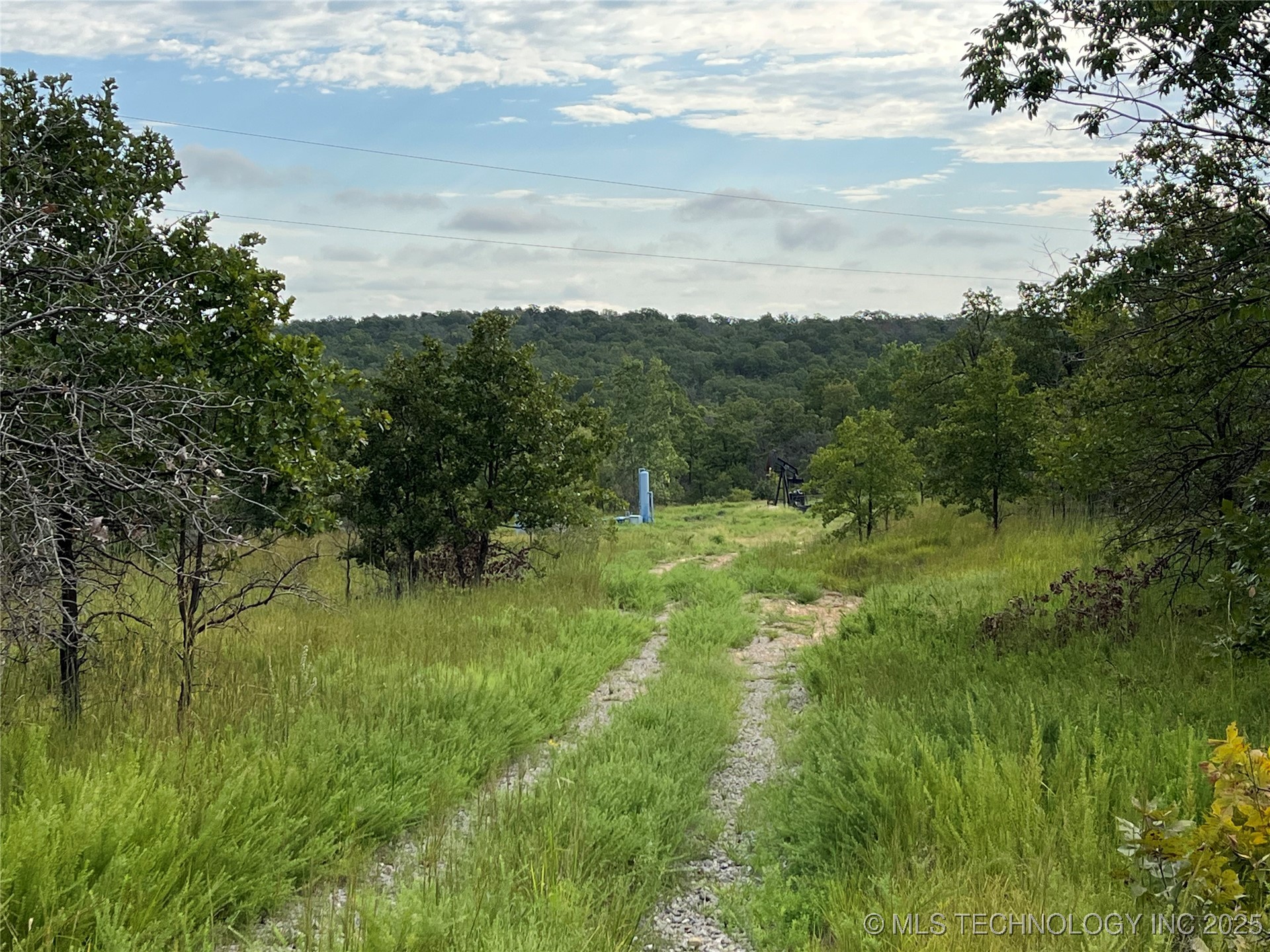 2822 Lott Bottom Road Property Photo 7
