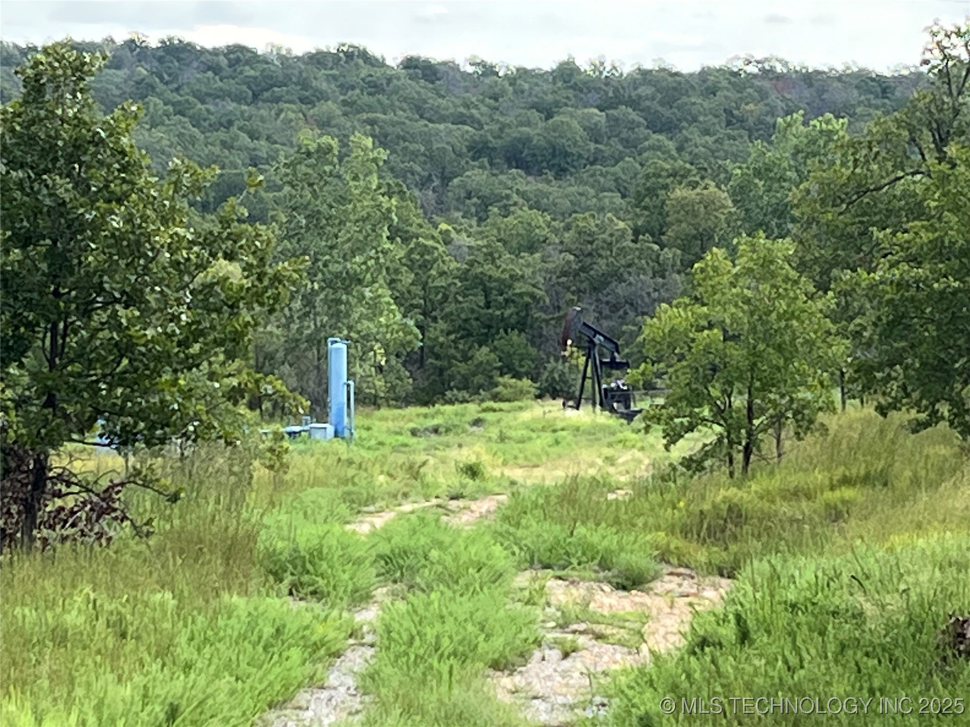 2822 Lott Bottom Road Property Photo 8