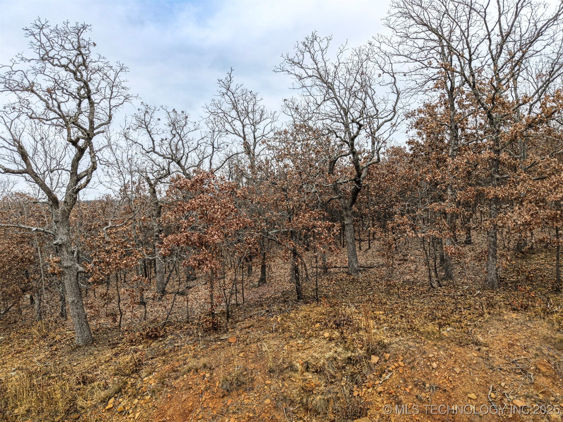 15956 Lakewood Circle Property Photo 6