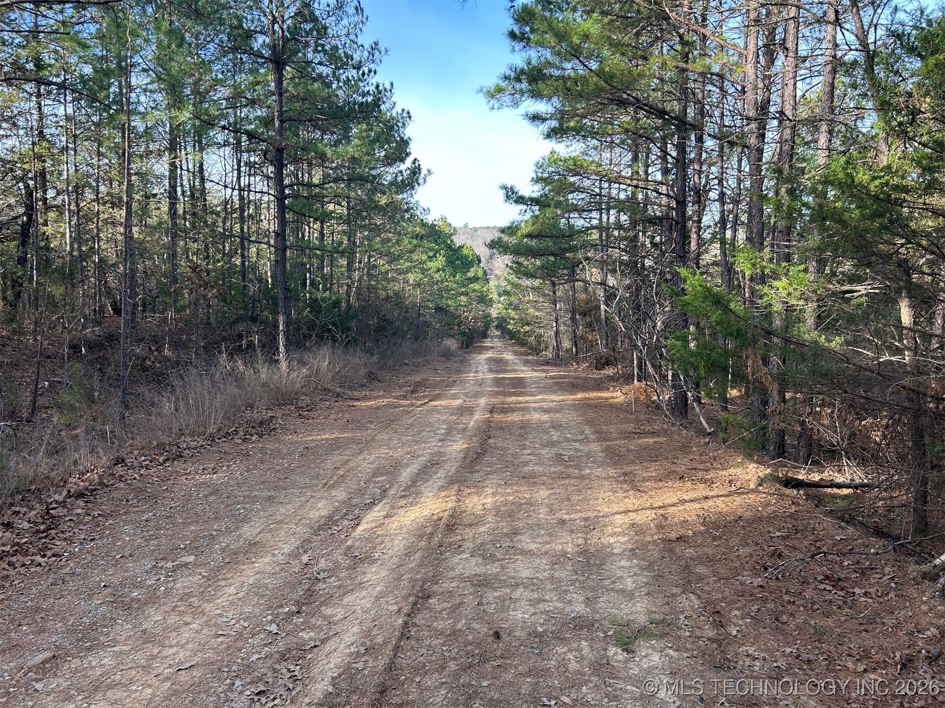 4 Hulsey Prairie Property Photo 5