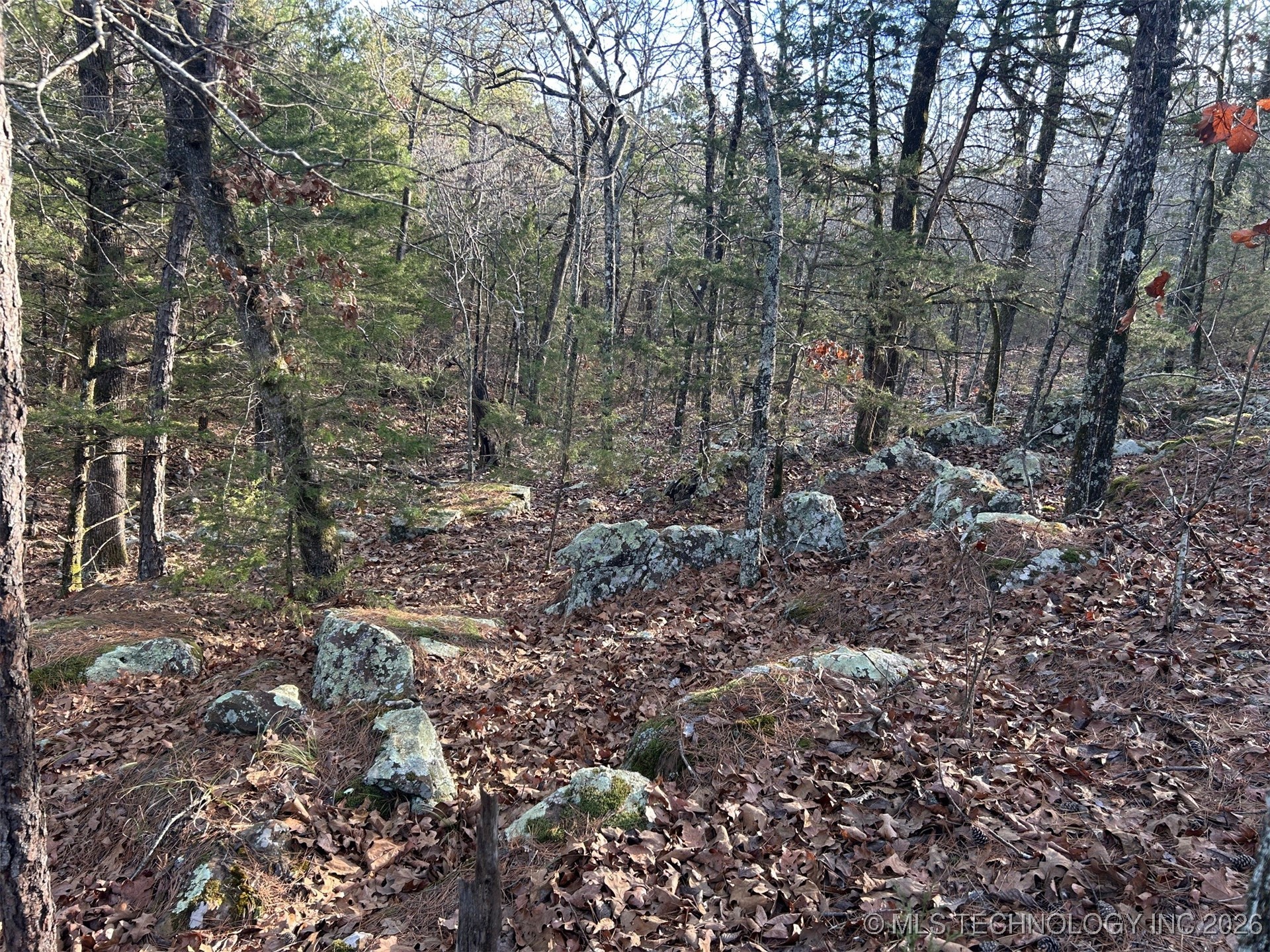 4 Hulsey Prairie Property Photo 6