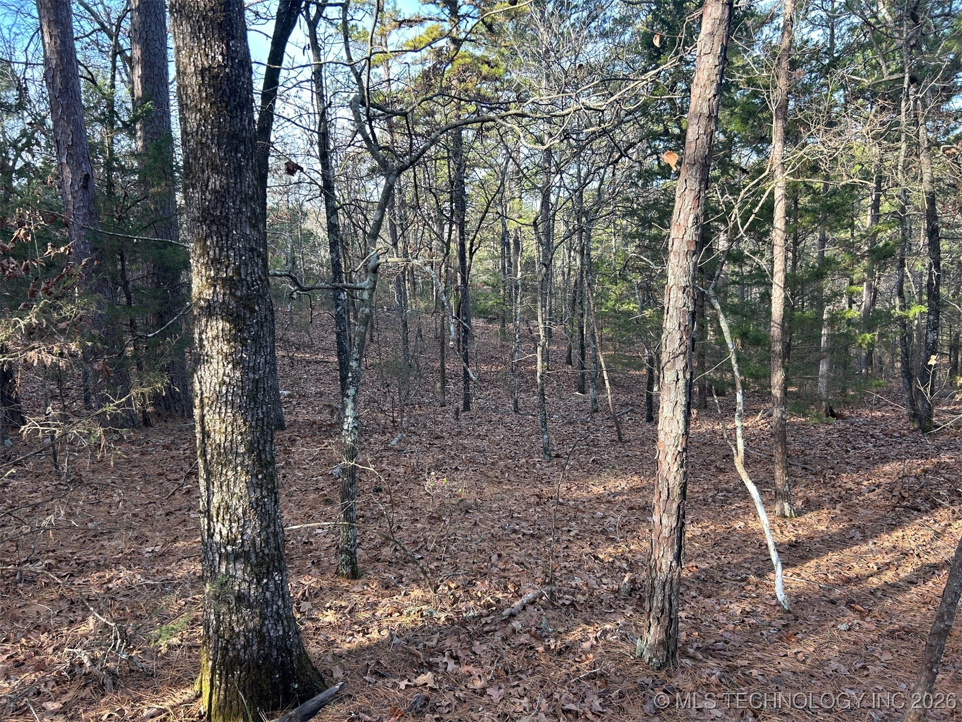 4 Hulsey Prairie Property Photo 7