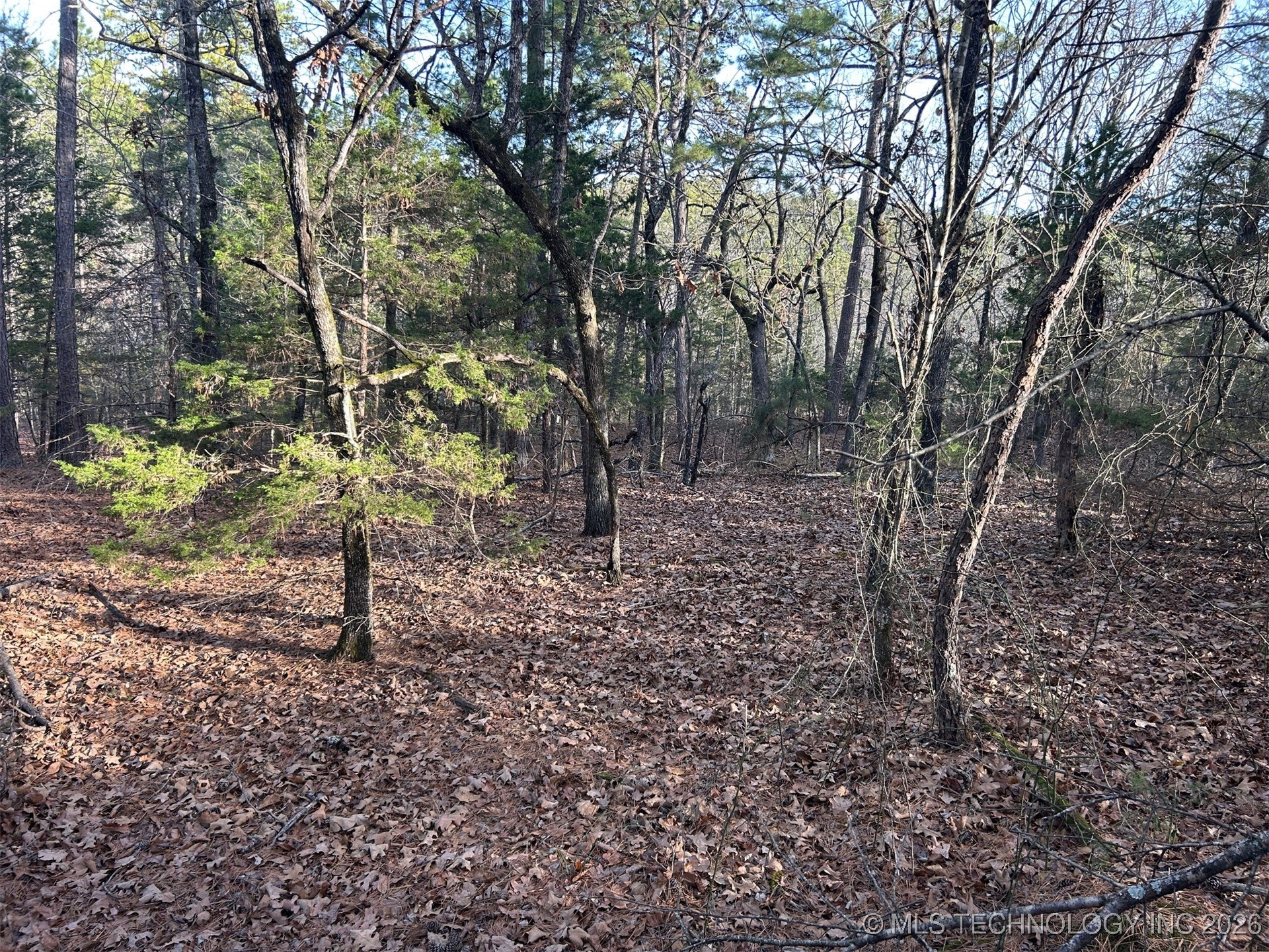 4 Hulsey Prairie Property Photo 8