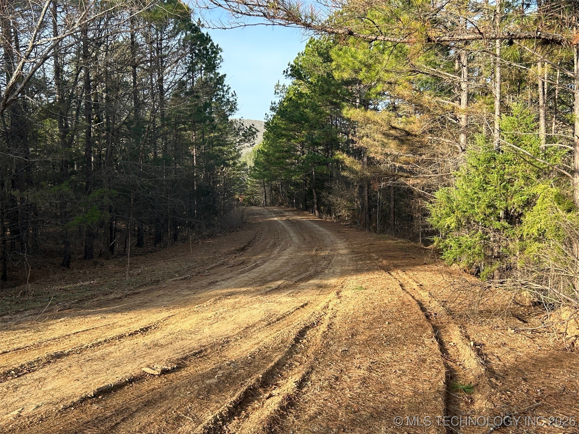 4 Hulsey Prairie Property Photo 9