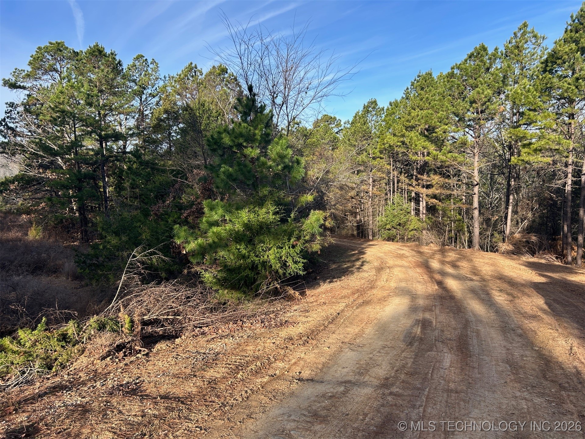 4 Hulsey Prairie Property Photo 10
