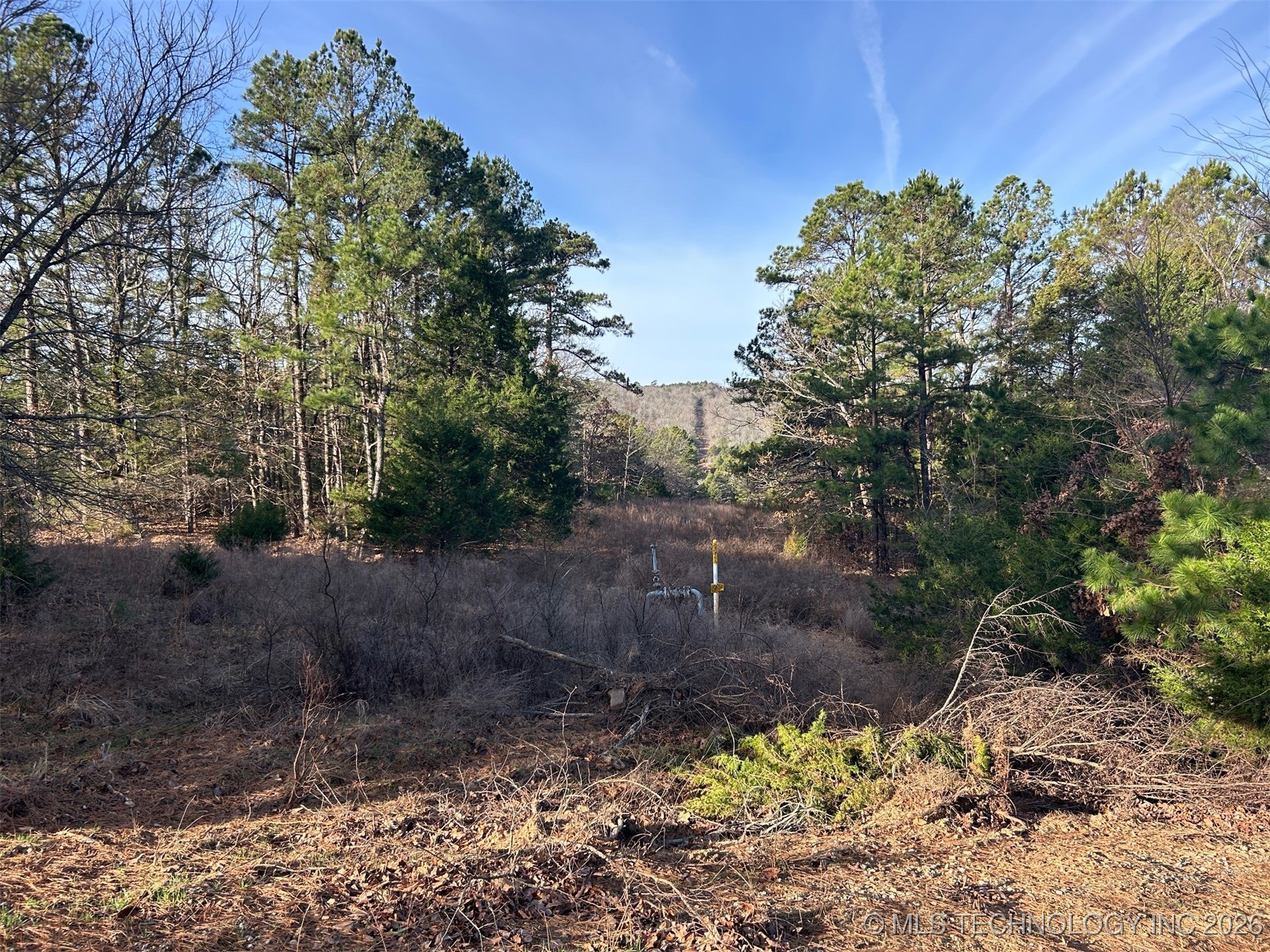 4 Hulsey Prairie Property Photo 11