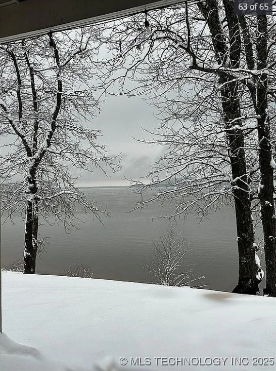 117271 S 4238 Property Photo 65