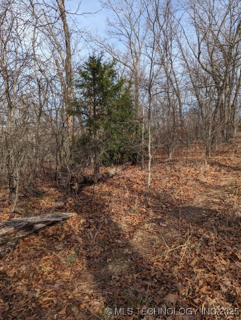 S 4530 Road Property Photo 5