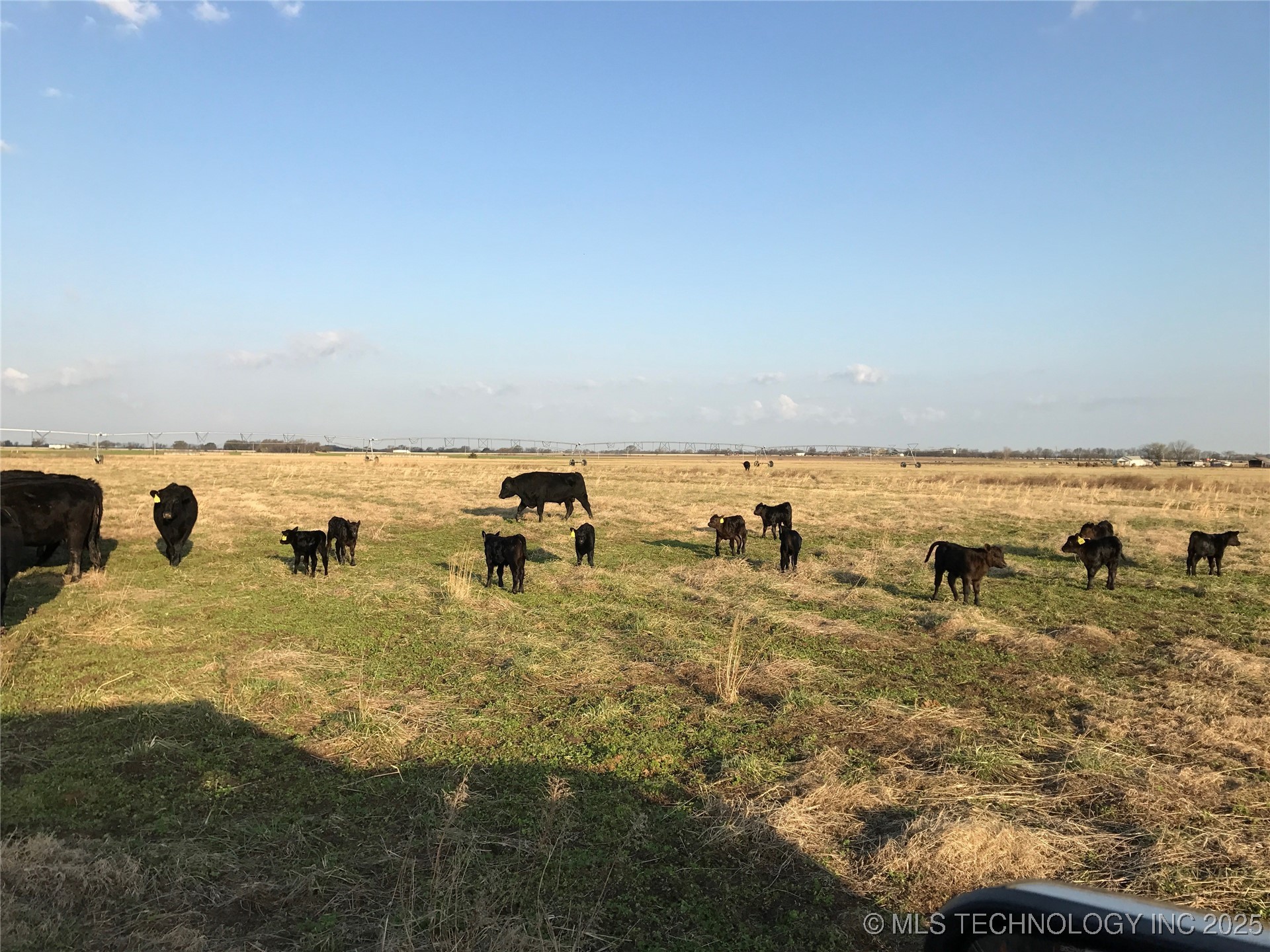 E 180 Road Property Photo 1