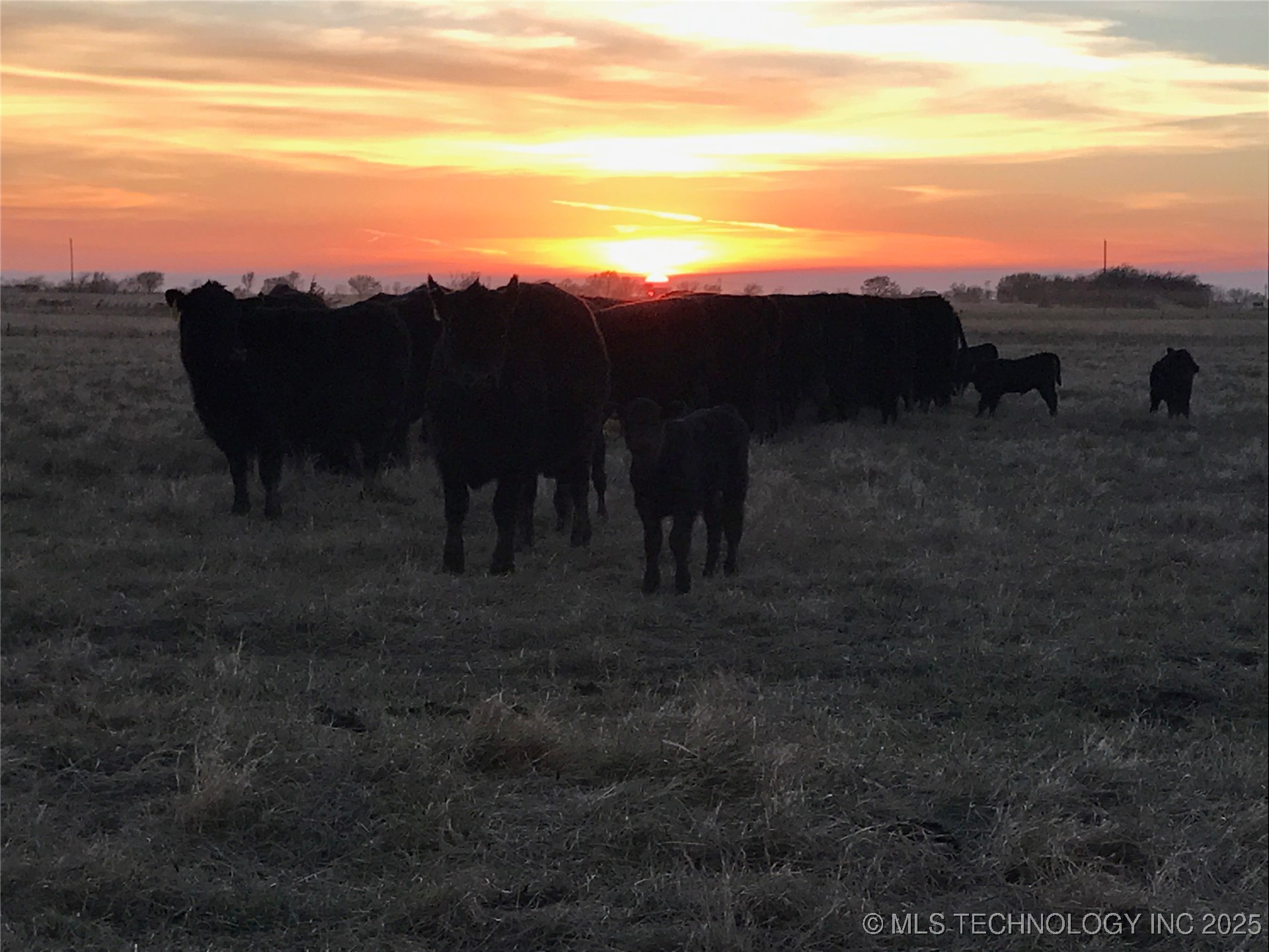 E 180 Road Property Photo 6