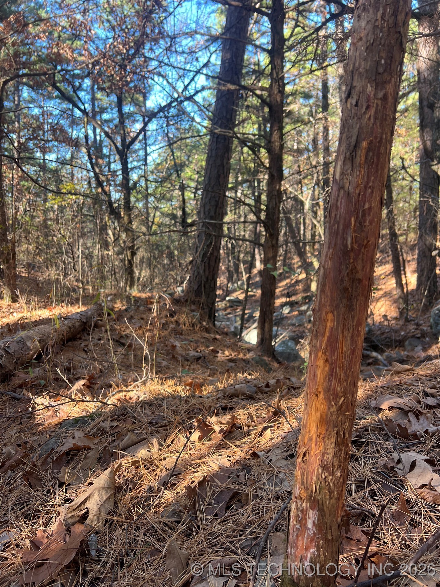 1 Durant Hill Road Property Photo 10