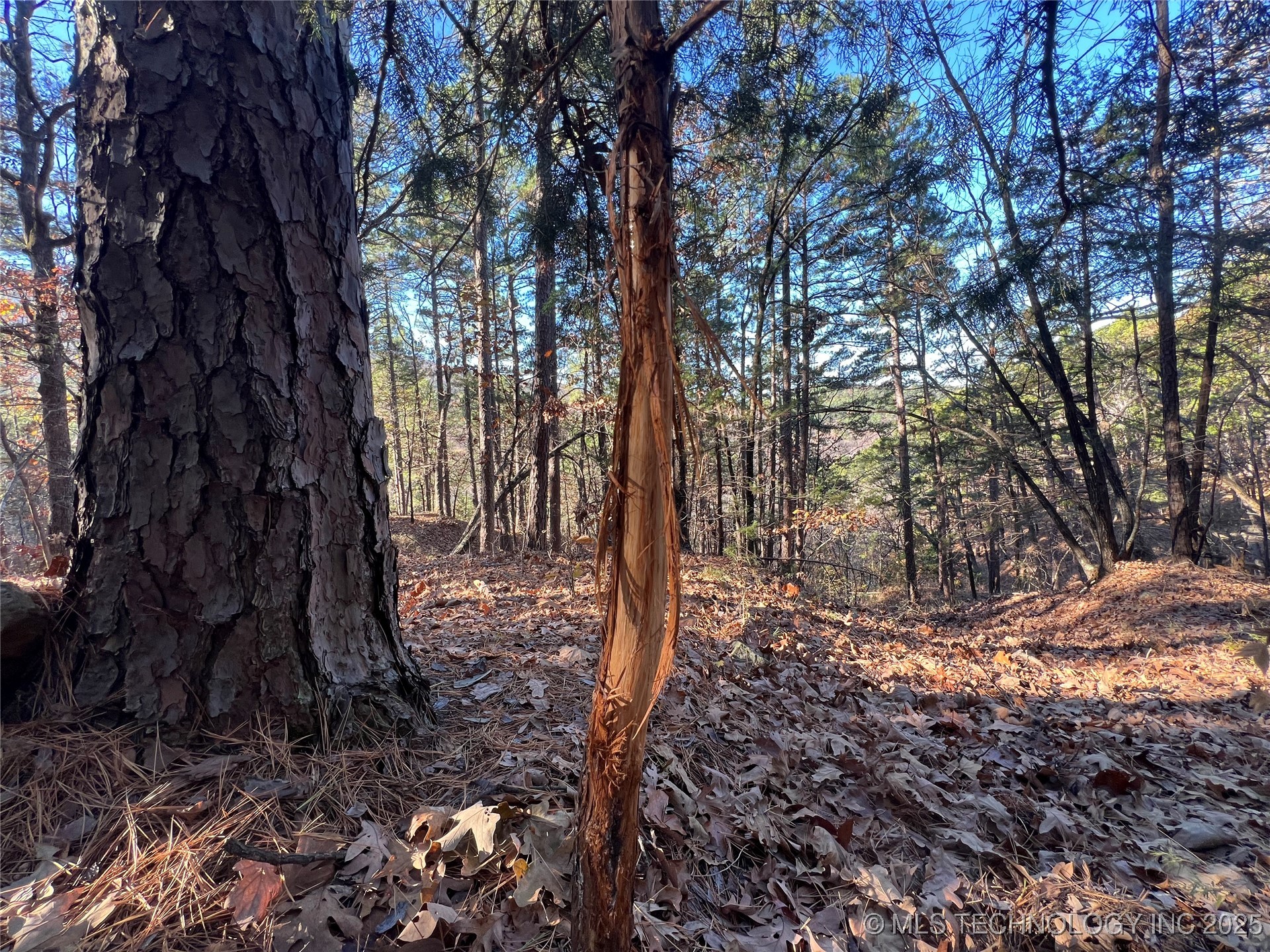 1 Durant Hill Road Property Photo 15