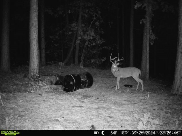 1 Durant Hill Road Property Photo 16