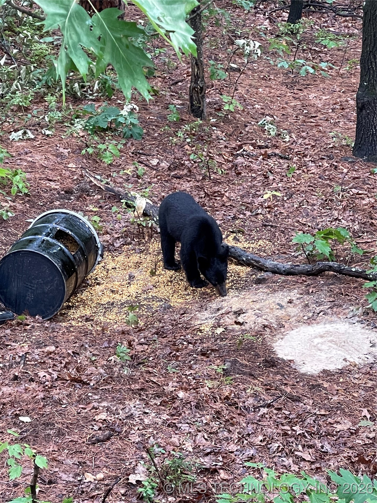 1 Durant Hill Road Property Photo 18