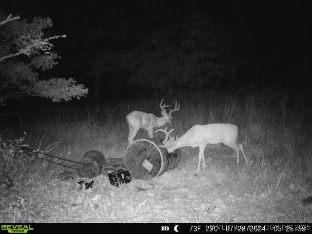 1 Durant Hill Road Property Photo 19