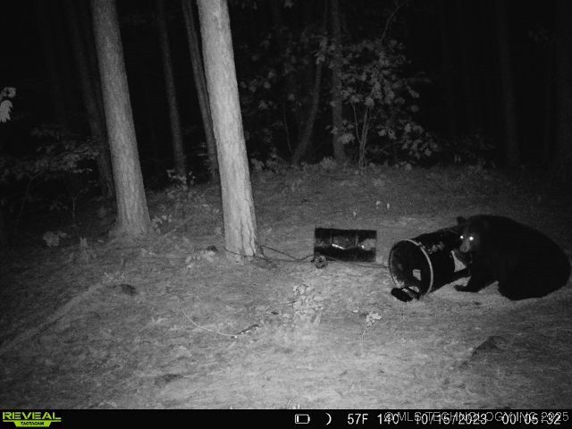 1 Durant Hill Road Property Photo 20