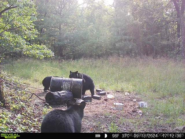 1 Durant Hill Road Property Photo 21