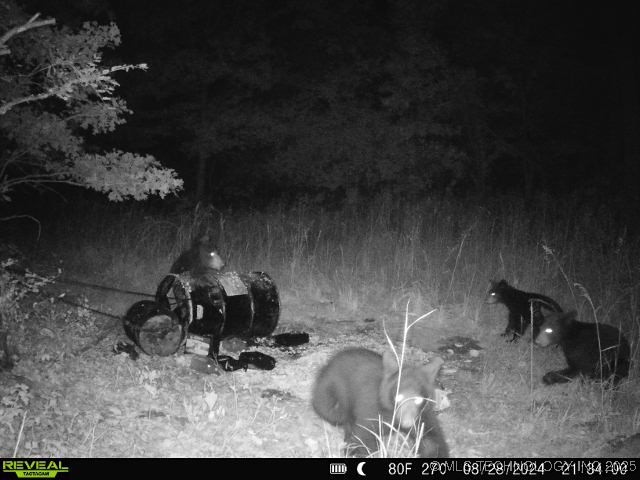 1 Durant Hill Road Property Photo 23