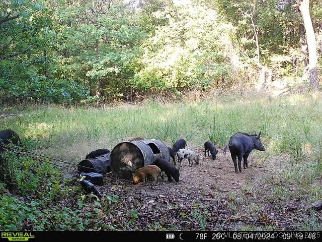 1 Durant Hill Road Property Photo 24