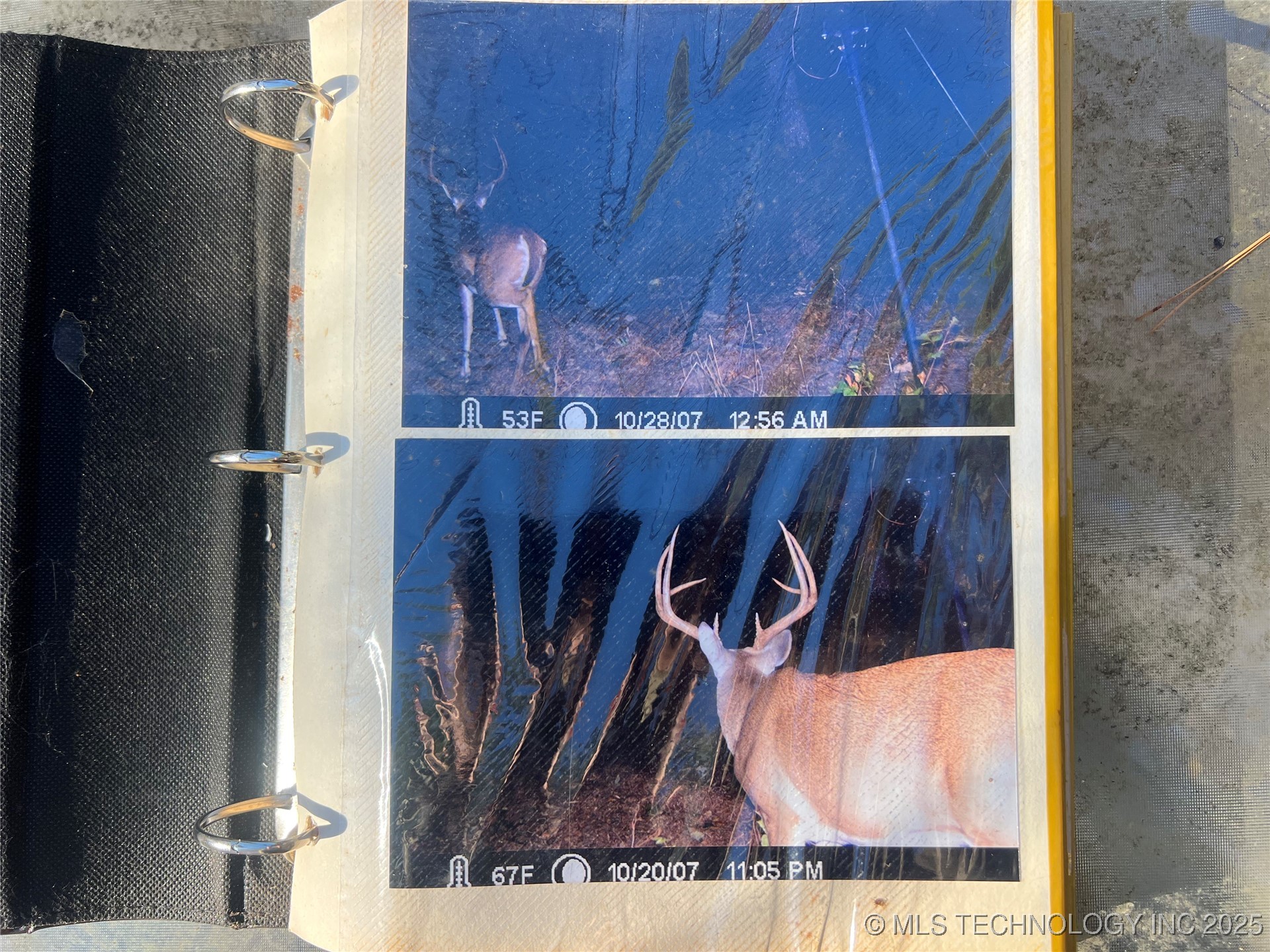 1 Durant Hill Road Property Photo 38