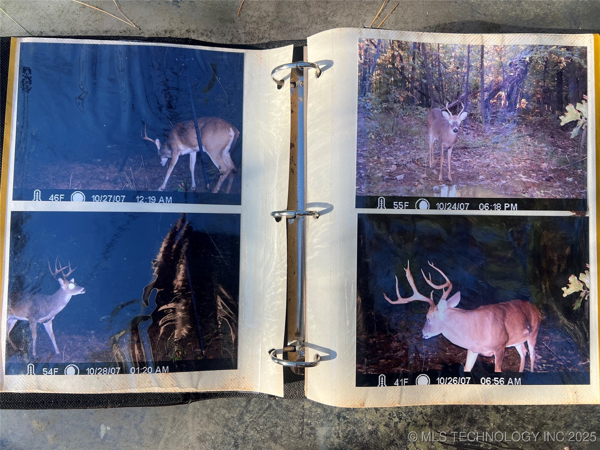 1 Durant Hill Road Property Photo 39