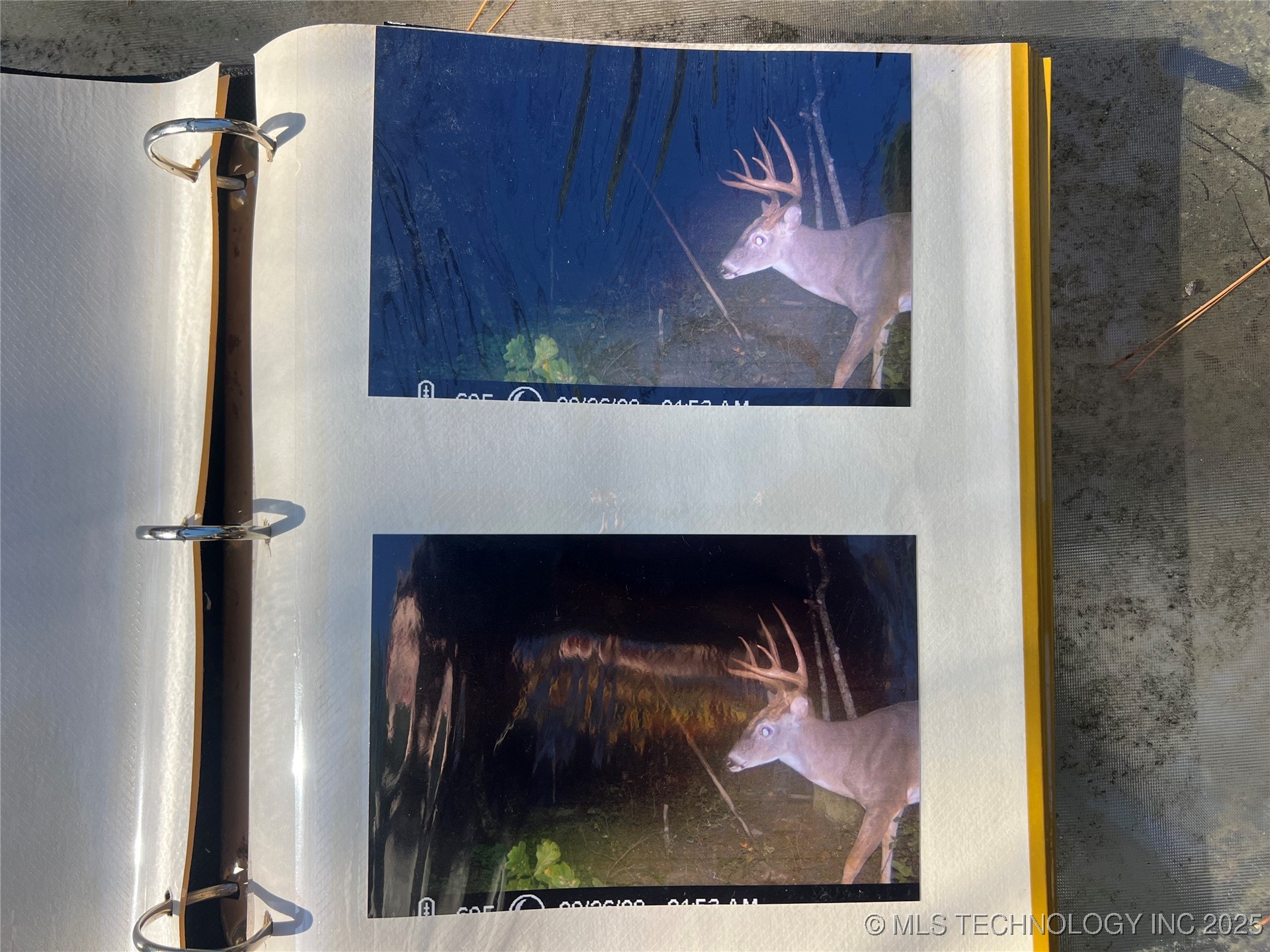 1 Durant Hill Road Property Photo 40